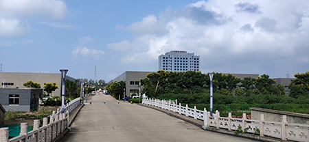 �����ʵ����